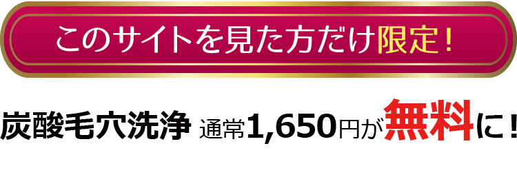 このサイトを見た方だけ限定